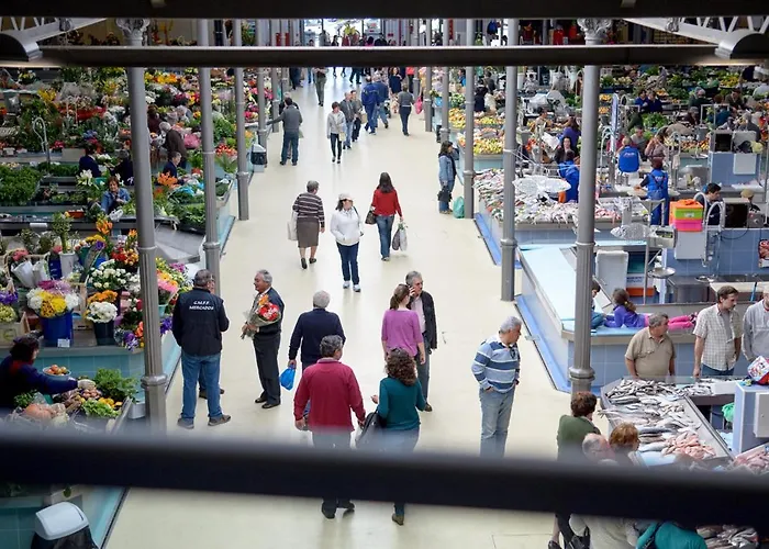 Figueira Vibes * Figueira da Foz