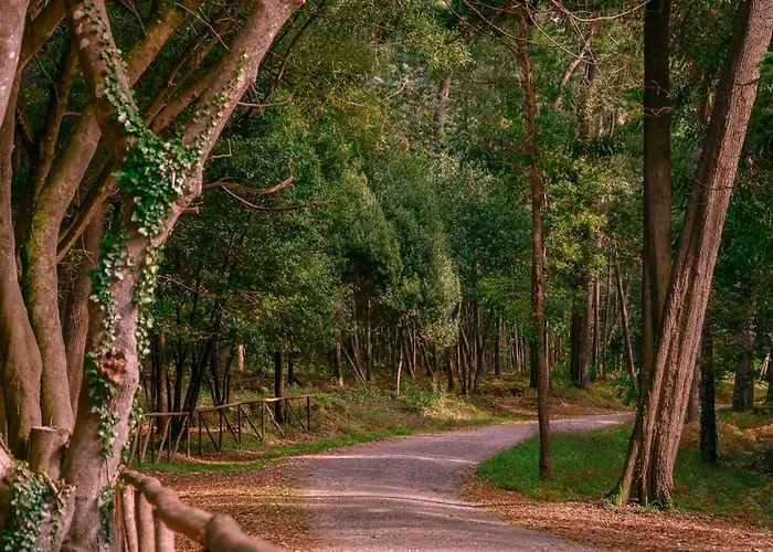 Apartament Figueira Vibes *
