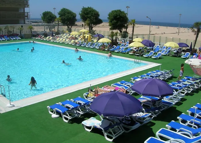 Figueira Vibes Apartament