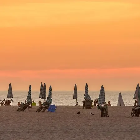 Figueira Vibes * Figueira da Foz