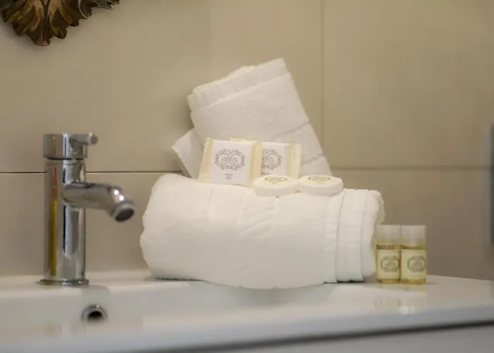 Figueira Vibes 菲盖拉-达福什